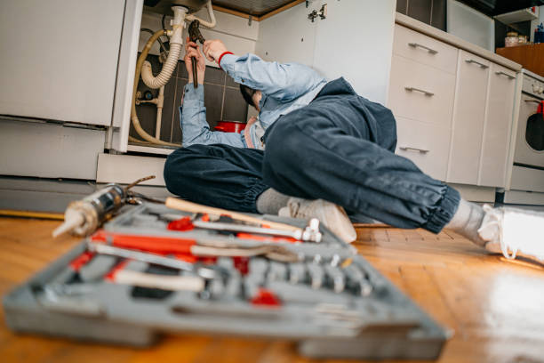 Best Faucet Repair  in Farm Loop, AK