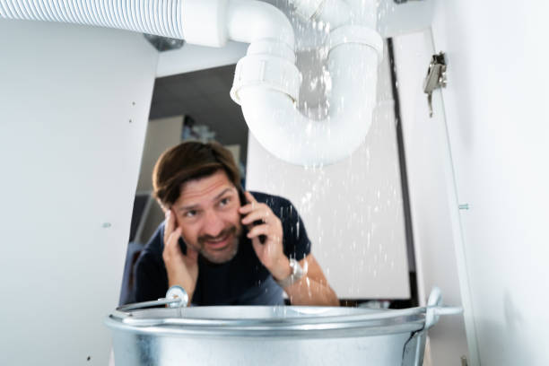 Best Water Softener Installation  in Farm Loop, AK